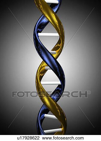 Stock Image - Digitally generated image of double helix. Fotosearch