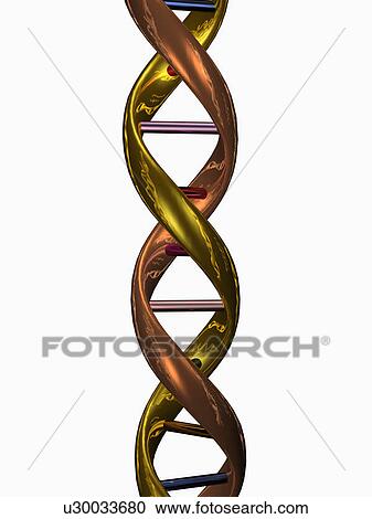 Stock Image - Digitally generated image of double helix. Fotosearch