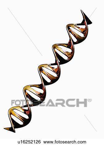 Stock Photograph - Digitally generated image of double helix. Fotosearch