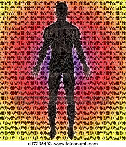 Digitally generated image of human representation View Large Photo Image Stock Image - Digitally generated image of human representation. Fotosearch