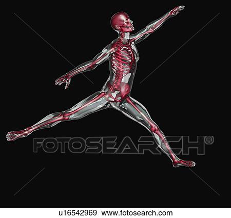 Digitally generated image of human representation dancing ballet View Large Photo Image Stock Photo - Digitally generated image of human representation dancing ballet. Fotosearch