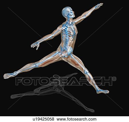 Stock Photo - Digitally generated image of human representation dancing ballet. Fotosearch