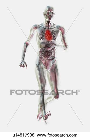 Digitally generated image of running male likeness View Large Photo Image Stock Photo - Digitally generated image of running male likeness. Fotosearch