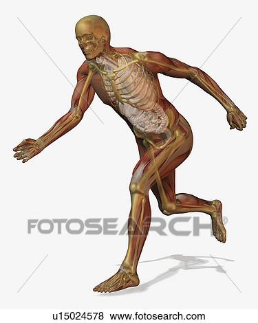 Stock Photo - Digitally generated image of running male likeness. Fotosearch