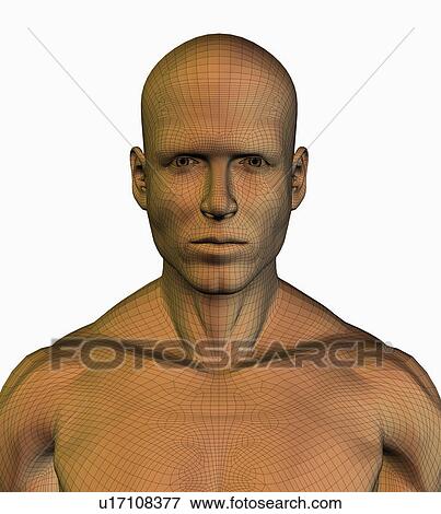 Stock Photo - Digitally generated male figure. Fotosearch