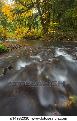 Stock Image - Flowing stream. Fotosearch