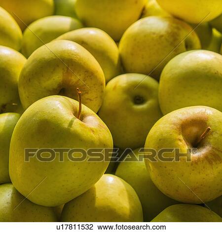 Heap of apples View Large Photo Image Stock Image - Heap of apples. Fotosearch