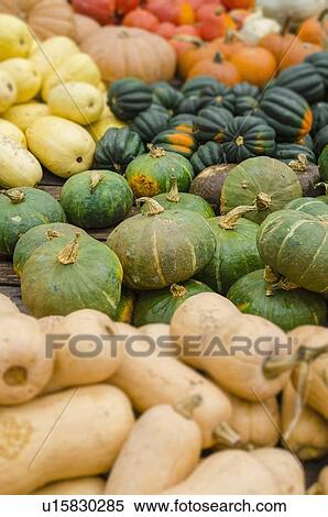 Stock Photography - Heap of pumpkins. Fotosearch
