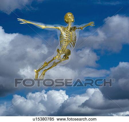 Human skeleton flying amidst clouds View Large Photo Image Stock Photography - Human skeleton flying amidst clouds. Fotosearch