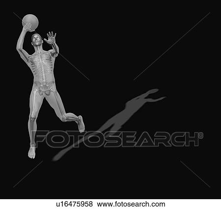 Human skeleton playing basketball View Large Photo Image Stock Photo - Human skeleton playing basketball. Fotosearch