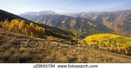 Picture - Mountain landscape with yellow aspen trees. Fotosearch