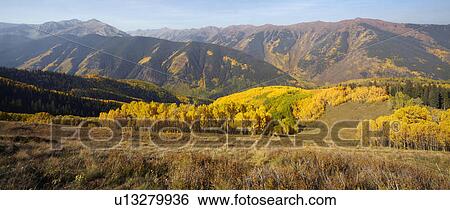 Mountain landscape with yellow aspen trees View Large Photo Image Stock Photograph - Mountain landscape with yellow aspen trees. Fotosearch