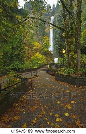 Stock Photo - Multnomah Falls in autumn. Fotosearch