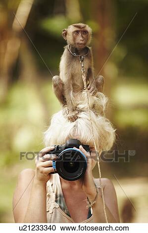 Stock Image - Portrait of female photographer with macaque monkey sitting atop her head. Fotosearch