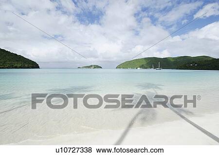 Shadow of palm trees on sandy beach View Large Photo Image Stock Photo - Shadow of palm trees on sandy beach. Fotosearch