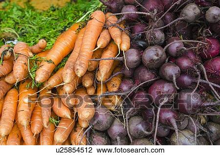 Stock Image - Stack of carrots and beets. Fotosearch