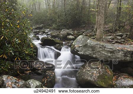 Stock Image - Stream in forest. Fotosearch