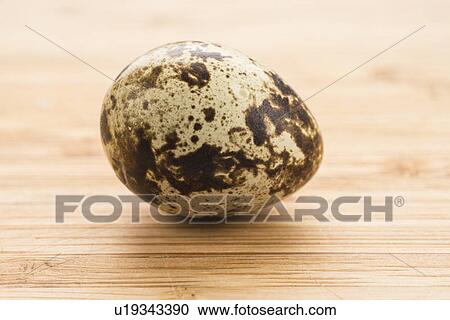 Stock Image - Studio shot of quail egg. Fotosearch