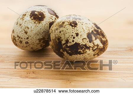 Picture - Studio shot of quail eggs. Fotosearch
