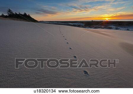 Picture - Sunset over winter landscape. Fotosearch