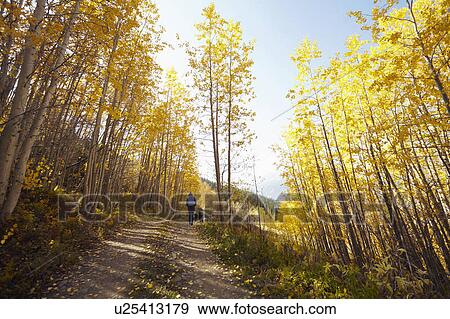 Stock Photo - Woman walking with her dog through forest . Fotosearch