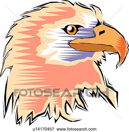 Bald eagle View Large Clip Art Graphic Clip Art - Bald eagle. Fotosearch