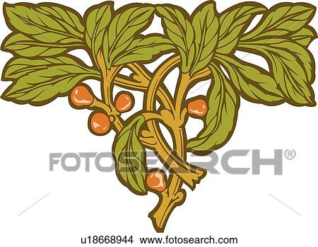 Clipart - Berry and Leaf Design Ornament. Fotosearch