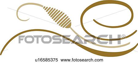 Clipart - Brown cattail . Fotosearch