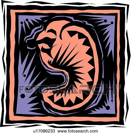 Clipart - Fiesta Shell. Fotosearch
