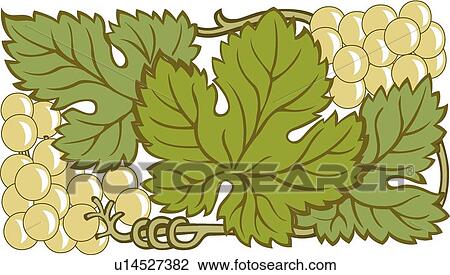 Clipart - Green grapes on vines with green leaves Design Ornament. Fotosearch