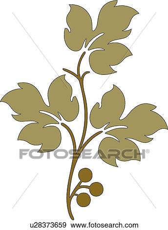 Clip Art - Green leaves with berries . Fotosearch