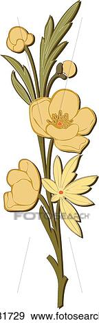 Clip Art - Green, yellow and tan flower Design Ornament. Fotosearch