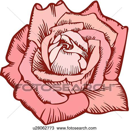 Clipart - Pink rose Design Ornament. Fotosearch