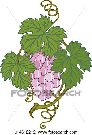 Purple grapes with green leaves Design Ornament View Large Clip Art Graphic Clipart - Purple grapes with green leaves Design Ornament. Fotosearch
