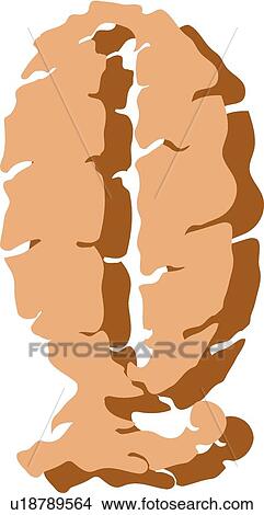 Stone Capital Q View Large Clip Art Graphic Clipart - Stone Capital Q. Fotosearch