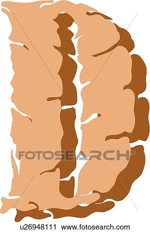 Clipart - Stone letter D. Fotosearch