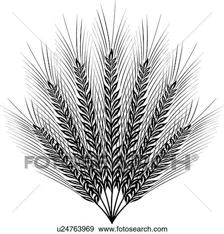 Clip Art - Wheat Calligraphic Design. Fotosearch