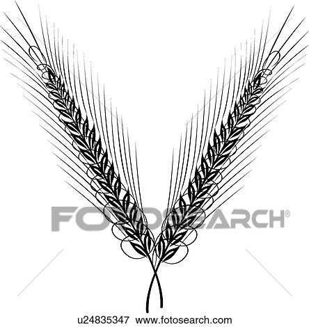 Clip Art - Wheat Calligraphic Design. Fotosearch