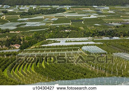 Aerial view of crop fields View Large Photo Image Stock Photo - Aerial view of crop fields. Fotosearch
