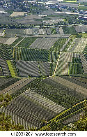 Aerial view of crop fields View Large Photo Image Stock Photo - Aerial view of crop fields. Fotosearch