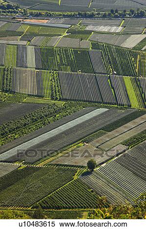 Aerial view of crop fields View Large Photo Image Stock Photography - Aerial view of crop fields. Fotosearch