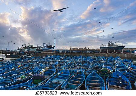 Birds flying over boats in urban harbor View Large Photo Image Stock Image - Birds flying over boats in urban harbor. Fotosearch