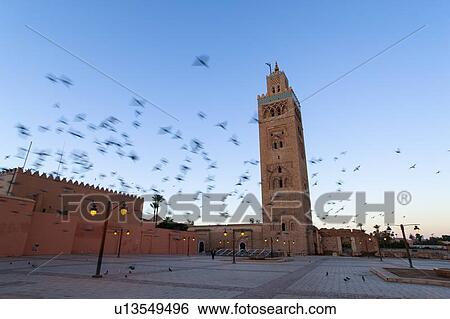 Blurred view of birds over courtyard View Large Photo Image Stock Photograph - Blurred view of birds over courtyard. Fotosearch