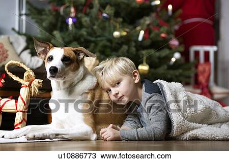 Boy and dog by Christmas tree View Large Photo Image Stock Image - Boy and dog by Christmas tree. Fotosearch