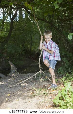 Boy playing on tree swing View Large Photo Image Stock Photograph - Boy playing on tree swing. Fotosearch