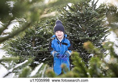Stock Photo - Boy standing in Christmas tree lot. Fotosearch