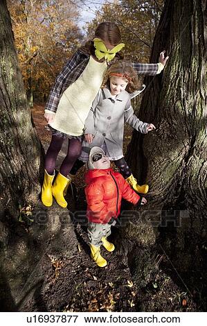Children playing together in tree View Large Photo Image Stock Photo - Children playing together in tree. Fotosearch