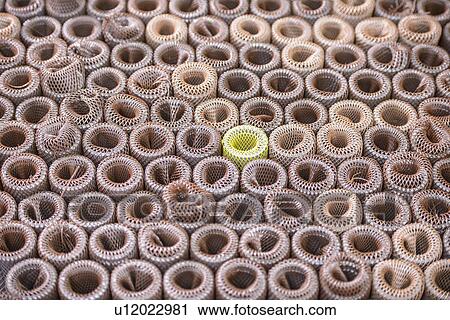 Close up of metal coils View Large Photo Image Stock Image - Close up of metal coils. Fotosearch