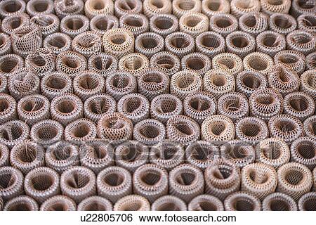 Close up of metal coils View Large Photo Image Stock Photograph - Close up of metal coils. Fotosearch