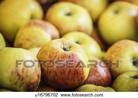 Stock Image - Close up of pile of apples. Fotosearch
